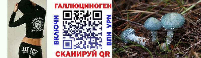 Псилоцибиновые грибы Psilocybe  где купить   Киров 